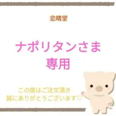 ナポリタンさま専用