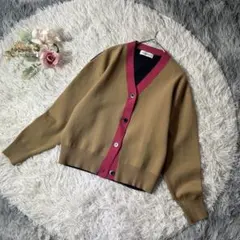 美品♡INED Vネックカーディガン 9 キャメル 紺 赤 春秋 都会的　短め丈