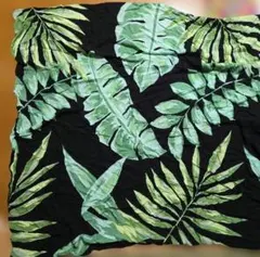 ALBAROSAのサムネイル