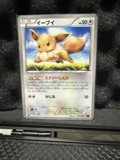 イーブイ C XY3 ライジングフィスト 075/096 - メルカリ