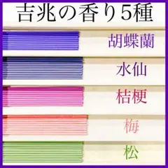 2026年最新】 ファレノプシス 原種の人気アイテム - メルカリ