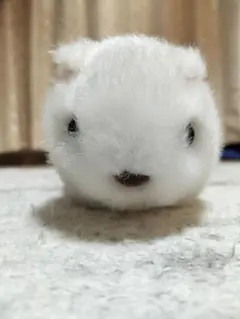 やまね工房 フクロウの子 ぬいぐるみ 中古品 ② 落合けいこ - メルカリ