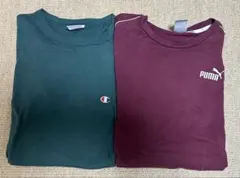 Champion Mサイズ & PUMA Sサイズ Tシャツセット
