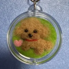 Item thumbnail for item 1c4eccde-2245-49a2-8e9a-c01ab6756802