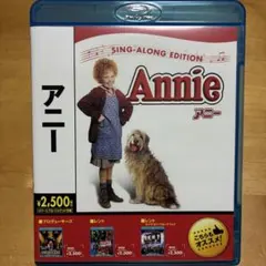 アニー('82米) 心あたたまる感動映画　中古品