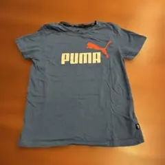 ⭐︎PUMA半袖Tシャツ⭐︎ブルー150センチ