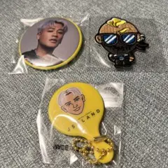 JSBLAND  会場限定カプセル ガチャ　ELLY  缶バッジ 実写
