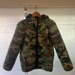 Item thumbnail for item 377015aa-1ea3-4bad-9929-9dea48a3e064