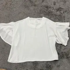 Item thumbnail for item 622954be-7221-4528-be0c-81ac1d18b7fb