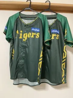 Item thumbnail for item 3872a506-4cc7-4502-8912-cc2221064761