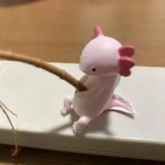 釣り日和4 〜動物達のひまつぶし〜 ウーパールーパー♪