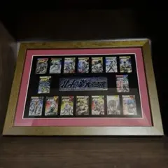 家庭教師ヒットマンREBORN! 天野明展 全巻ピンズセット 綱吉 雲雀 獄寺他 家庭教師ヒットマンREBORN! 天野明展 全巻ピンズセット 綱吉 雲雀 獄寺