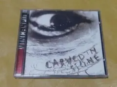 VINCH NEIL / CARVED IN STONE