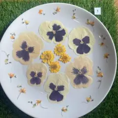 Item thumbnail for item 7f82cdf9-5908-4e26-b75a-1838f307f923