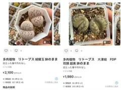 専用❤️同梱-50円　ちぃ様 リクエスト 2点 まとめ商品