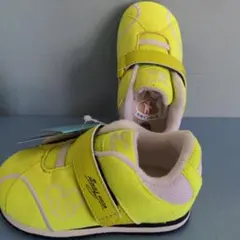 Item thumbnail for item e3b04db6-09c4-4a7b-a579-b30989cdb6f6