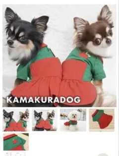 Item thumbnail for item dd544d4e-6e31-4688-9f6d-495397fda5ca