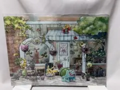Pokemon Grassy Gardening A4クリアファイル　ポケモン