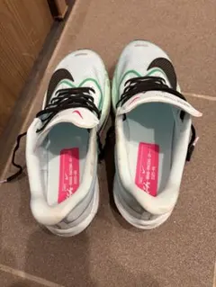 ナイキ　ズームフライ6 (ZOOM FLY6) 26.0cm