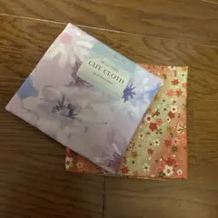 Item thumbnail for item 92b6a984-fbe2-4d53-950f-38f0d53de88c