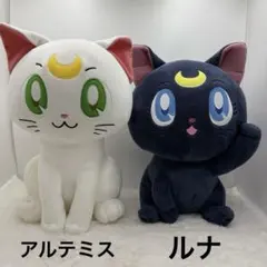 Item thumbnail for item 5d846924-3468-4fed-a54e-b0320aefe164