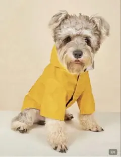 犬用レインコート イエロー　Lサイズ