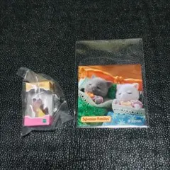 まとめ売り　ペルシャネコの赤ちゃん
