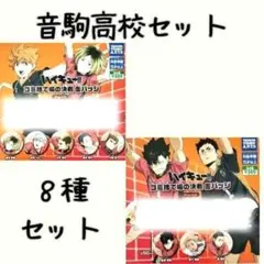 【音駒高校セット】ハイキュー!!　ゴミ捨て場の決戦　缶バッジ