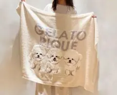 ジェラートピケ ビションフリーゼ柄ブランケット