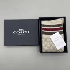 Item thumbnail for item 9d91f9f8-3aef-4cd4-9aac-f7fb785c0edf