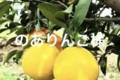 ありがとうございます