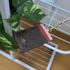 COACH レザー パスケース・定期入れ☆可愛い☆小傷少々有り