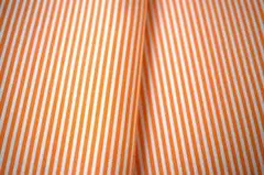 Item thumbnail for item 5ed251a6-4054-4818-b646-c5b9aaa0f6fb