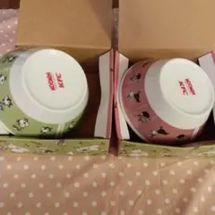 未使用 ムーミン KFC コラボ ボウル 2種セット　スナフキン＆ミー