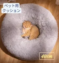 Item thumbnail for item db3ea857-cd02-439b-9e91-ead6614b345b