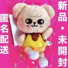 SKZOO ミニ ぬいぐるみ スンミン 2026年最新】skzoo ぬいぐるみ スンミンの人気アイテム - メルカリ