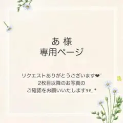あ様 おまとめ2点