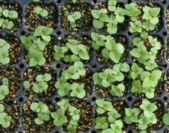 kumiimk様 リクエスト 2点 まとめ商品