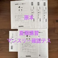 Sunday SapiX 思考力講座 算数 2020年度用フルセット - メルカリ
