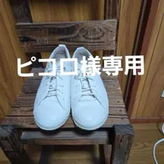 Item thumbnail for item 684cfdd1-0168-45a7-9025-84e51c88239f