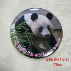 2026年最新】シャンシャン 缶バッジの人気アイテム - メルカリ