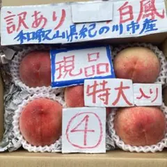 岡山県産 桃 白鳳 GW様ご注文の品 - メルカリ