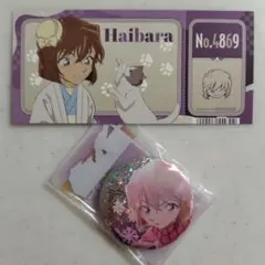 名探偵コナン 灰原哀 彩光キラキラカンバッジコレクション Vol.2