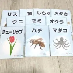 2026年最新】ベビーパーク 絵本の人気アイテム - メルカリ