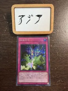 アジア】遊戯王 超融合 シークレット 1枚 アジア版 亜シク - メルカリ