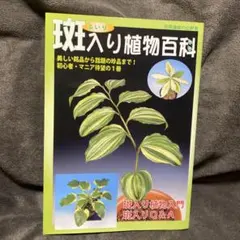 ☆栃木の高山植物図鑑☆美本☆ほとんど未使用☆ - メルカリ
