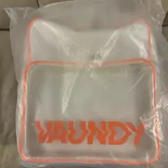 未開封】VAUNDY ロゴ入りバッグ ホワイト SILENCE - メルカリ