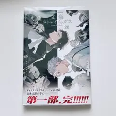 【帯・透明カバー付き】文豪ストレイドッグス 28巻 朝霧カフカ 春河35 初版本