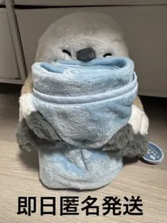 シマエナガさん 冷感ブランケット付 ぬいぐるみのサムネイル