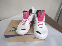 Item thumbnail for item 4234683b-7418-43d5-812a-8b41e3b80886